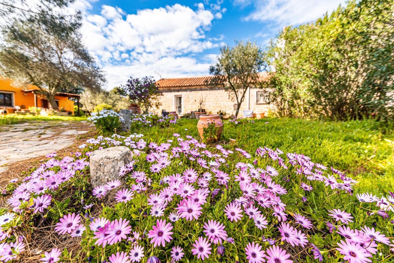 Casa Lilliosa Vila Campavaglio Exterior foto